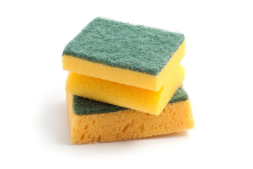 Yellow sponges