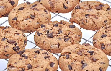 Chocolate Cookies