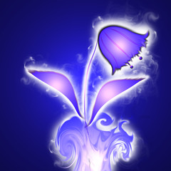 beautiful flower on fire