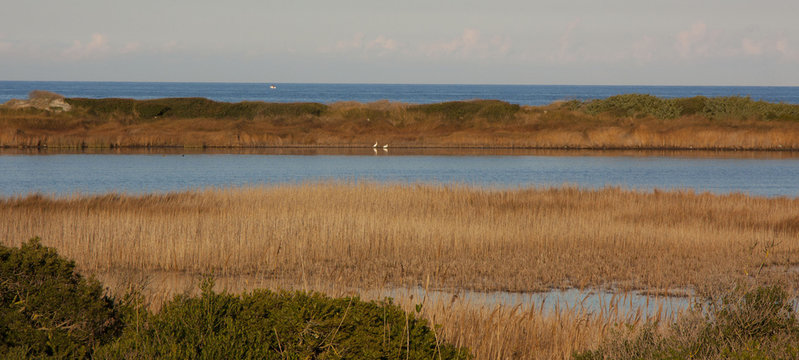 Laguna mediterranea - Stagno Natura
