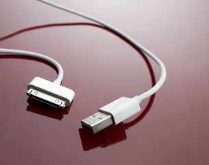 Fototapeta premium usb