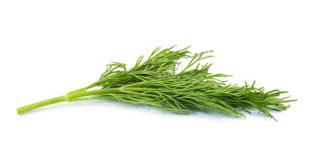 dill
