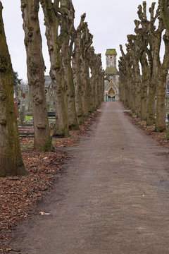Lime tree avenue converging on a graveyard chapel