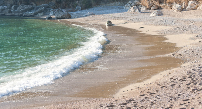 Spiaggia dei sassolini