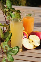 Natürlicher Apfelsaft © Michael Rogner