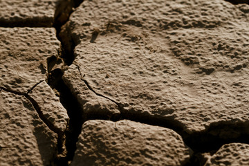 Cracked lifeless soil