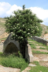 Fototapeta na wymiar Old stone bridge Miravete de la Sierra Teruel Aragon Spain