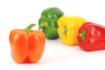 Fresh colorful peppers pattern