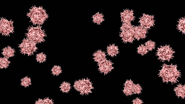 virus in bewegung