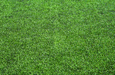 Obraz premium fresh grass for background