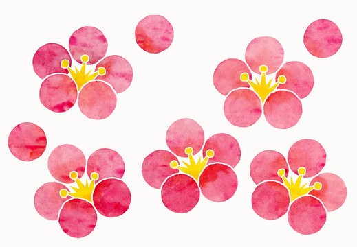 Plum blossom