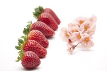 Erdbeeren mit Blütenzweig
