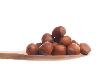 Hazelnuts on a wooden spoon