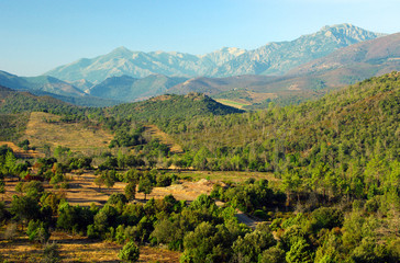 Fototapeta na wymiar Śródlądowych Korsyka. Cortenais