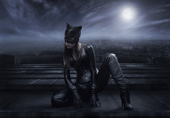 Catwoman sitzt auf dem Dach