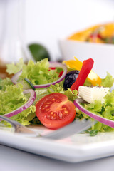 Fresh garden salad