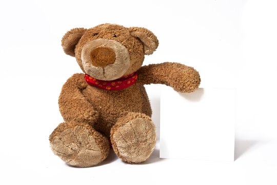Teddy mit einer Karte
