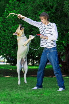 Man Playing With The Dog