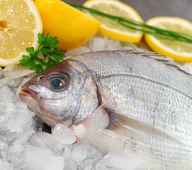 Fischgericht