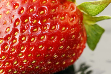Beautiful strawberry macro
