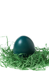 Easter Egg in Green Paper Nest