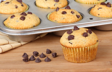Chocolate Chip Muffin