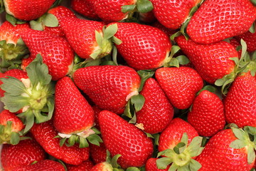 Fresas en caja