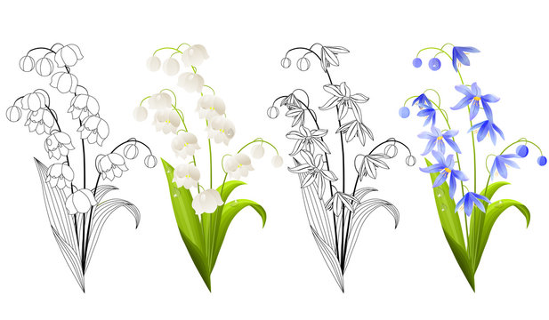 Collection of spring flowers isolated on white background