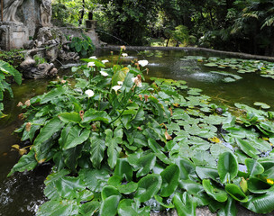 Jardin botanique de Trsteno