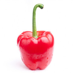 red paprika on white background