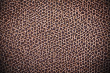 brown leather texture. Close up.