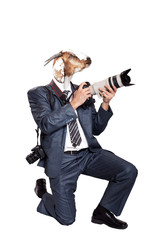 Business photographer with head of goat