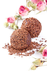 chocolate truffle