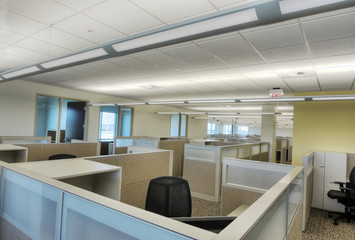 Cubicles in Office, HDR