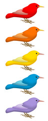 Colored Birds 1