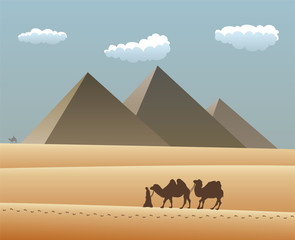 vector illustration of camels and bedouin in desert