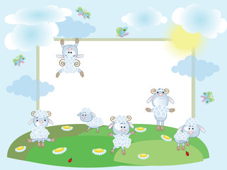Summer frame,sheep