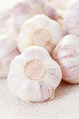 garlic