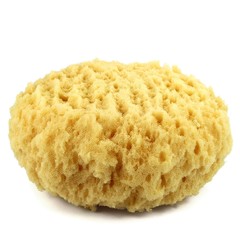 Schwamm