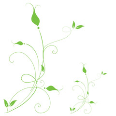 Obraz premium Abstract flowers background with place for your text