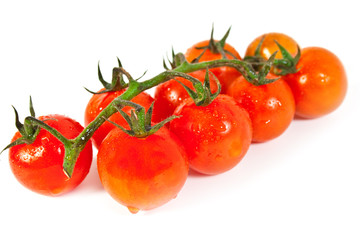 tomatoes