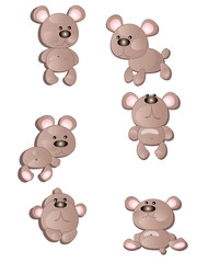 Bears