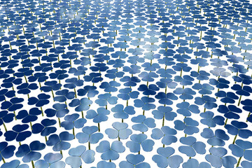 Naklejka premium Клевер