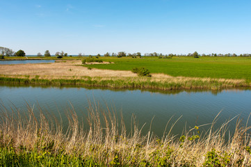 Typical Dutch landscape
