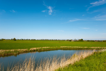 Typical Dutch landscape