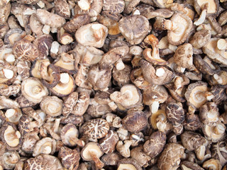 Dried Mushrooms