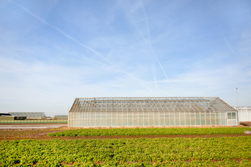 Greenhouse for agriculture