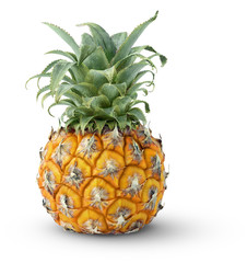 Isolated pineapple. One pineapple isolated on white background