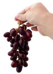 Bunch of red grapes in the hand isolated on white