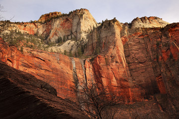 Red White Canyon Walls Zion Canyon National Park Utah